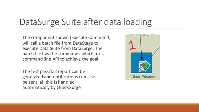 Execute command activity stage in datastage